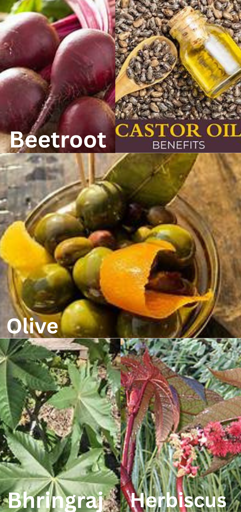 Herbal Grow Max Hair Oil🧴🌺